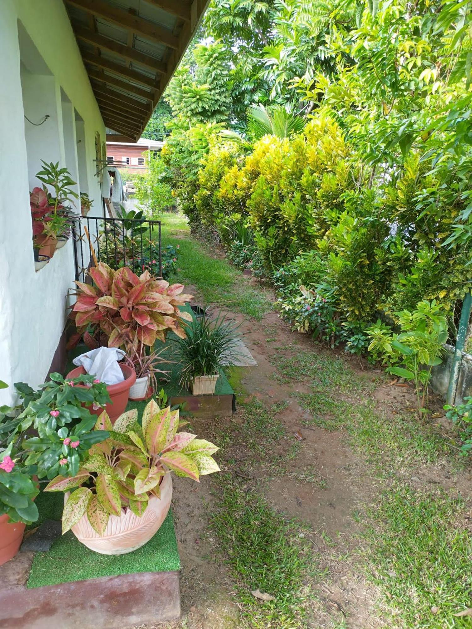 Au Cap Hcs Bungalows Turtle Bay Rustic Bungalow מראה חיצוני תמונה